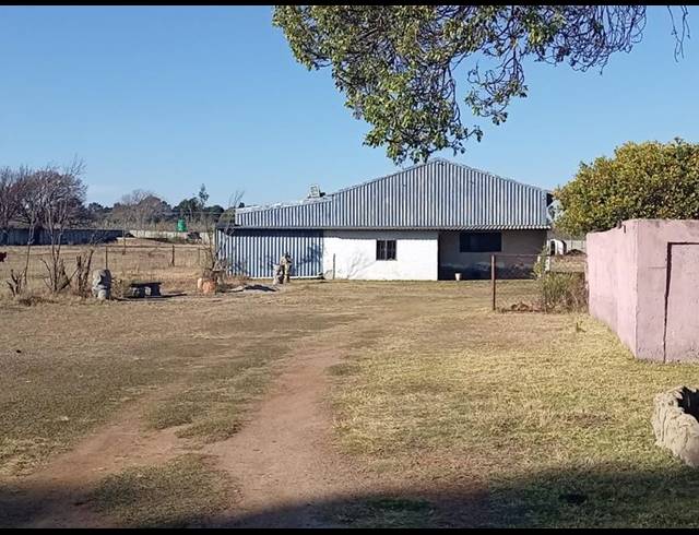 FARM FOR SALE IN RANDFONTEIN SOUTH